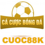 cacuocbongdainfo