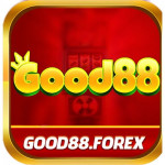 good88forex