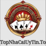 topnhacaiuytin11